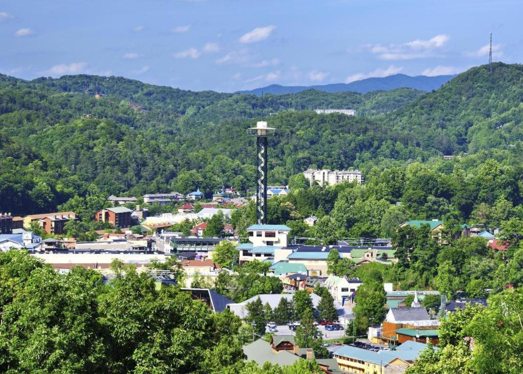Family Bear Condos, Full King Suite, Kitchen, Pool Access Unit 103 Gatlinburg Eksteriør billede